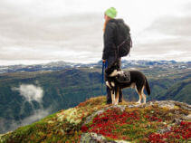 Wanderreisen mit Hund / Wandern mit Hund Wanderreisen mit Hund / Wandern mit Hund